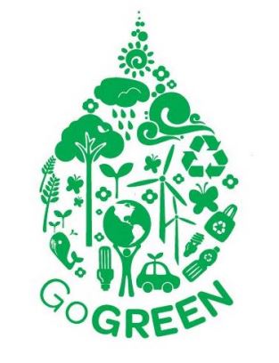 Girl Scouts Go Green Patch